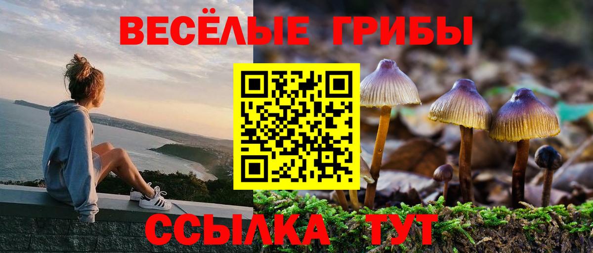 Псилоцибиновые грибы Magic Shrooms Ачинск