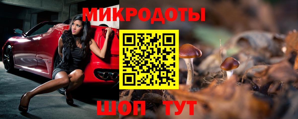 Псилоцибиновые грибы Psilocybe  Галлюциногенные грибы GOLDEN TEACHER  Ачинск  Вход с VPN 
